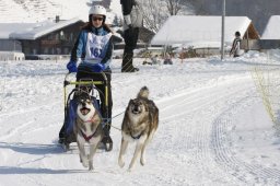 Lenk 2012 SM